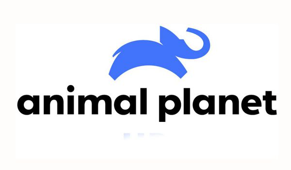 35 - Animal Planet
